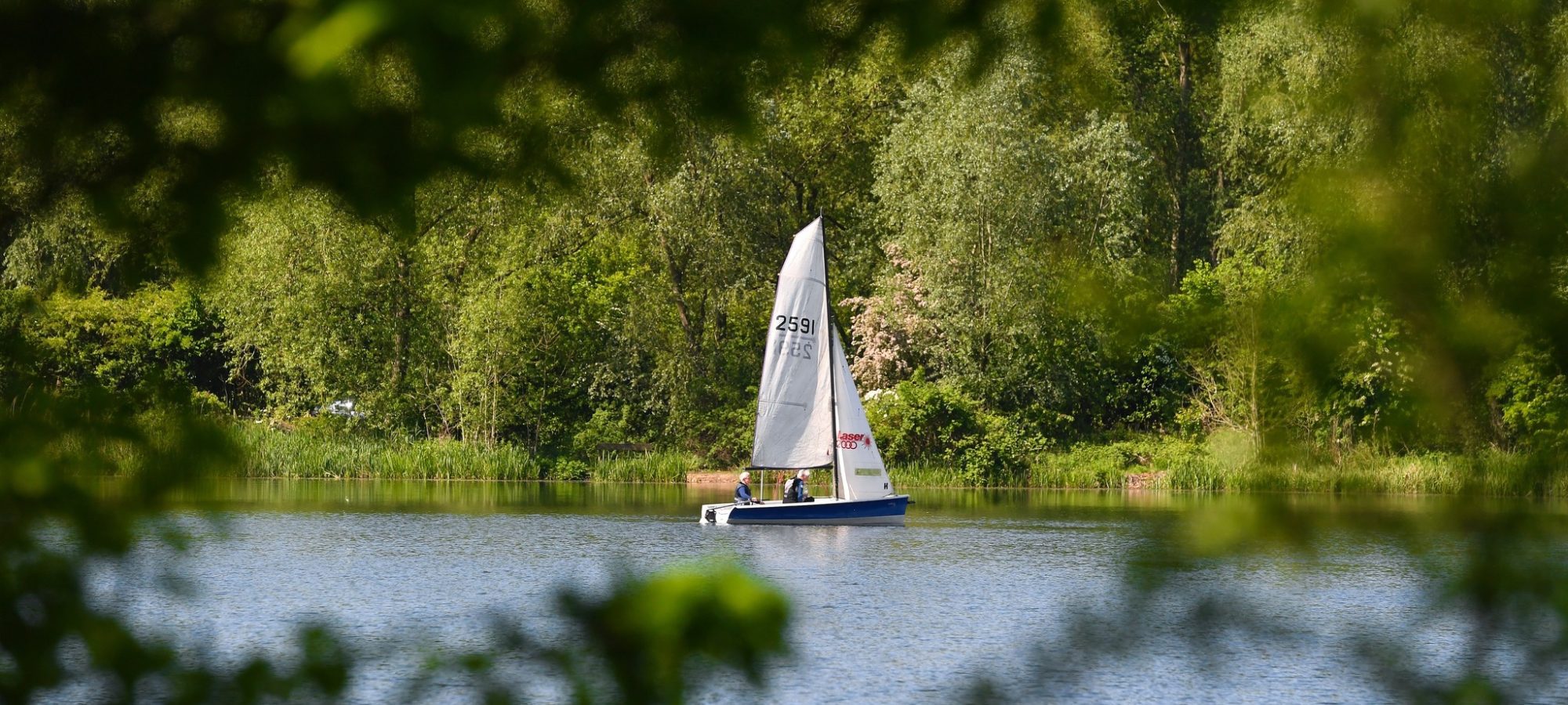 A sail boat out on the lake