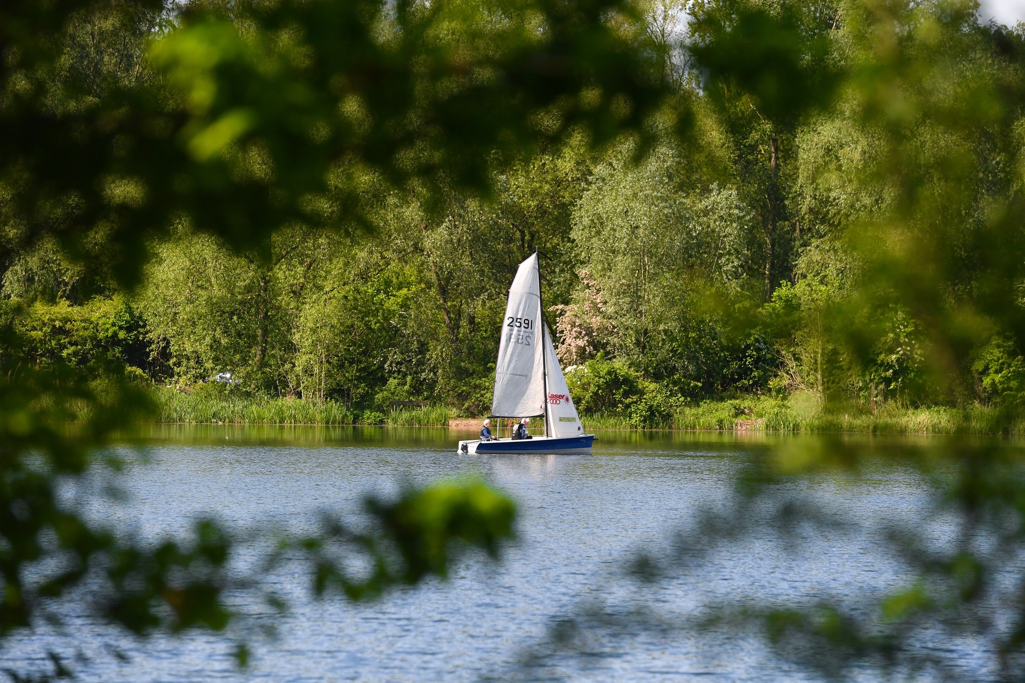 A sail boat out on the lake