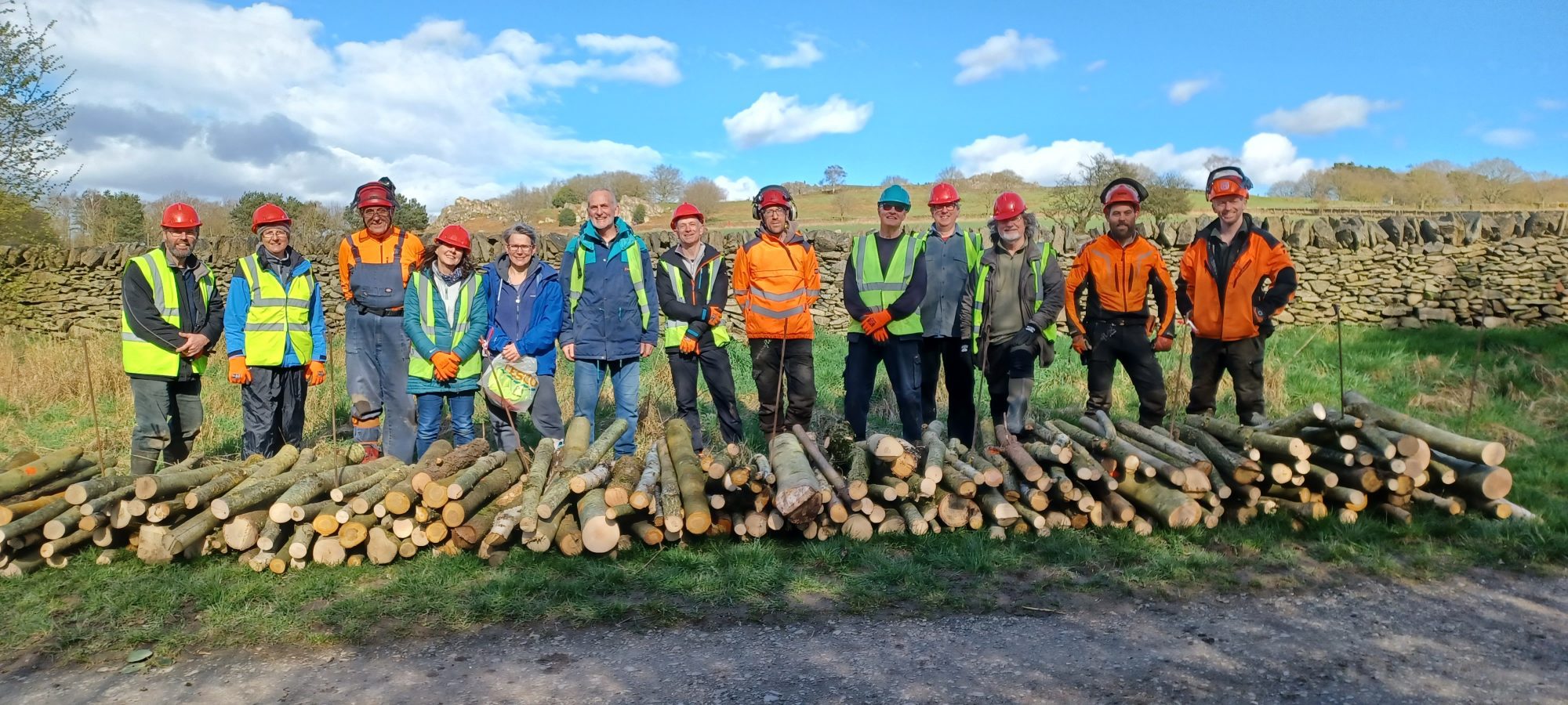 A group of volunteers and rangers dressed up in PPE including a fluorescent vest and hard hat smile at the camera. Wood logs sit in front of them