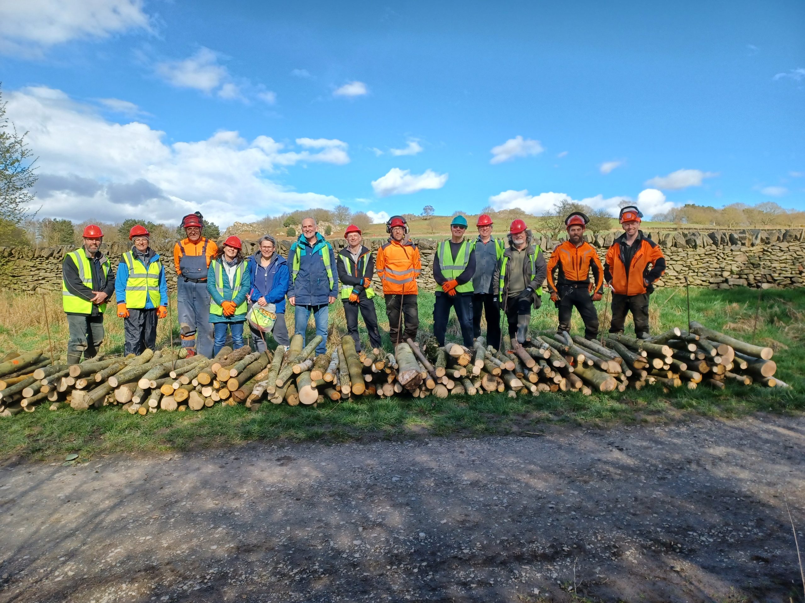 A group of volunteers and rangers dressed up in PPE including a fluorescent vest and hard hat smile at the camera. Wood logs sit in front of them